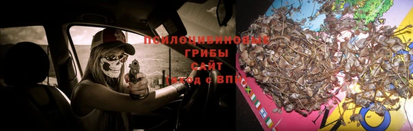 первитин Лиски