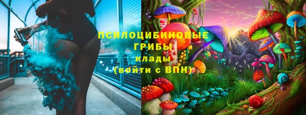 apvp Лабытнанги