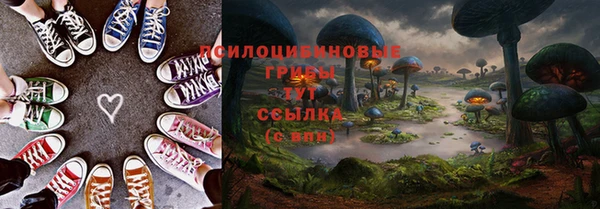 apvp Лабытнанги
