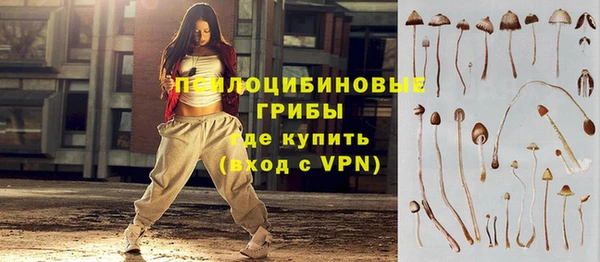 ПСИЛОЦИБИНОВЫЕ ГРИБЫ Липки