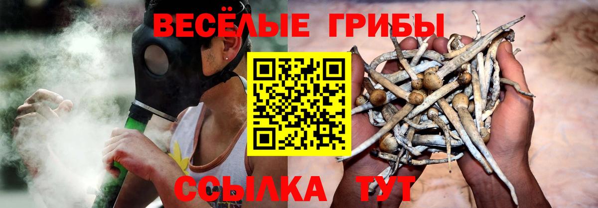 Псилоцибиновые грибы мухоморы Узловая