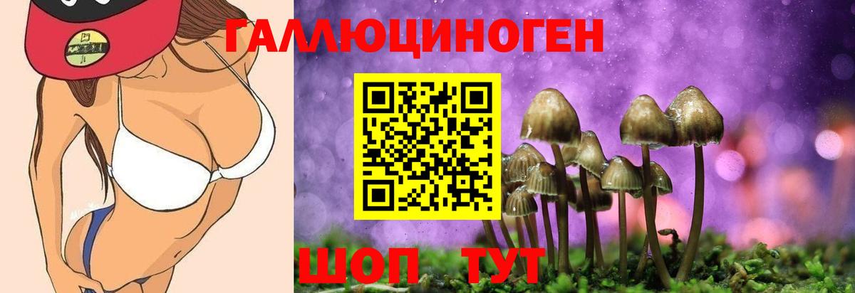Псилоцибиновые грибы Psilocybine cubensis  Вход с VPN  Узловая  Галлюциногенные грибы MAGIC MUSHROOMS 